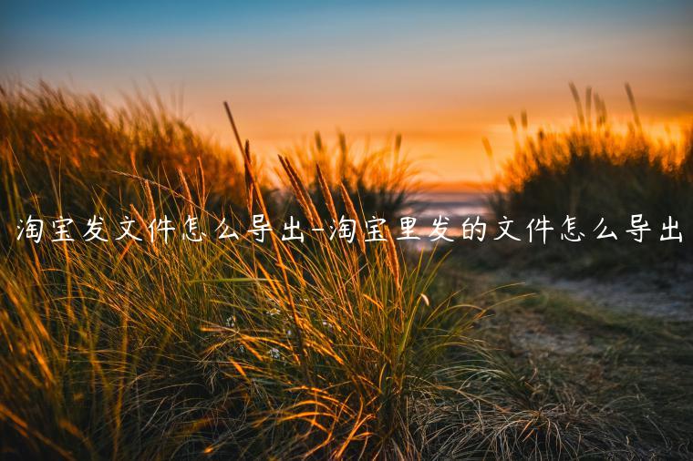 淘寶發(fā)文件怎么導(dǎo)出-淘寶里發(fā)的文件怎么導(dǎo)出